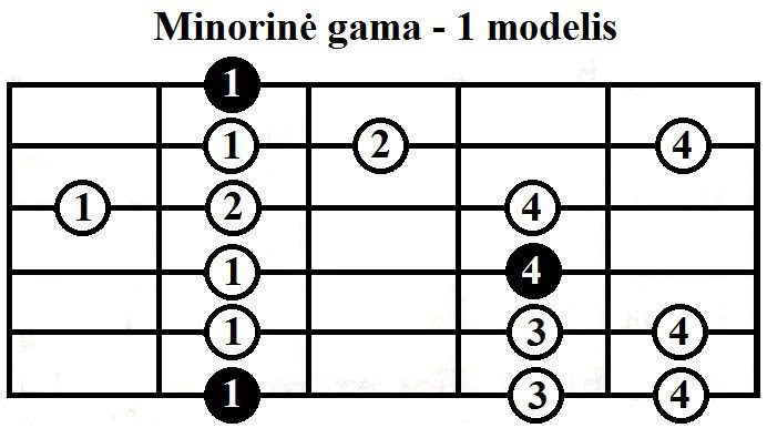 Minorine-gama-1-modelis