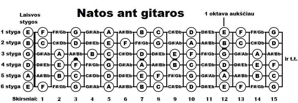 Natos-ant-gitaros